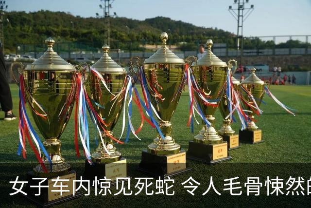 女子车内惊见死蛇 令人毛骨悚然的臭味来源曝光